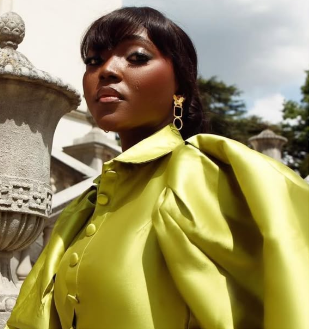 Butterfly Geometry Earrings